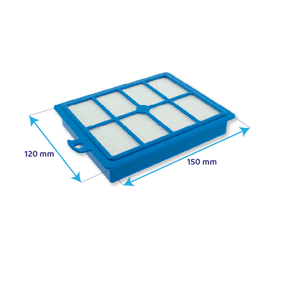 AEG Allergy Plus® Filter für Staubsauger AFS1W / ErgoSpace / UltraOne