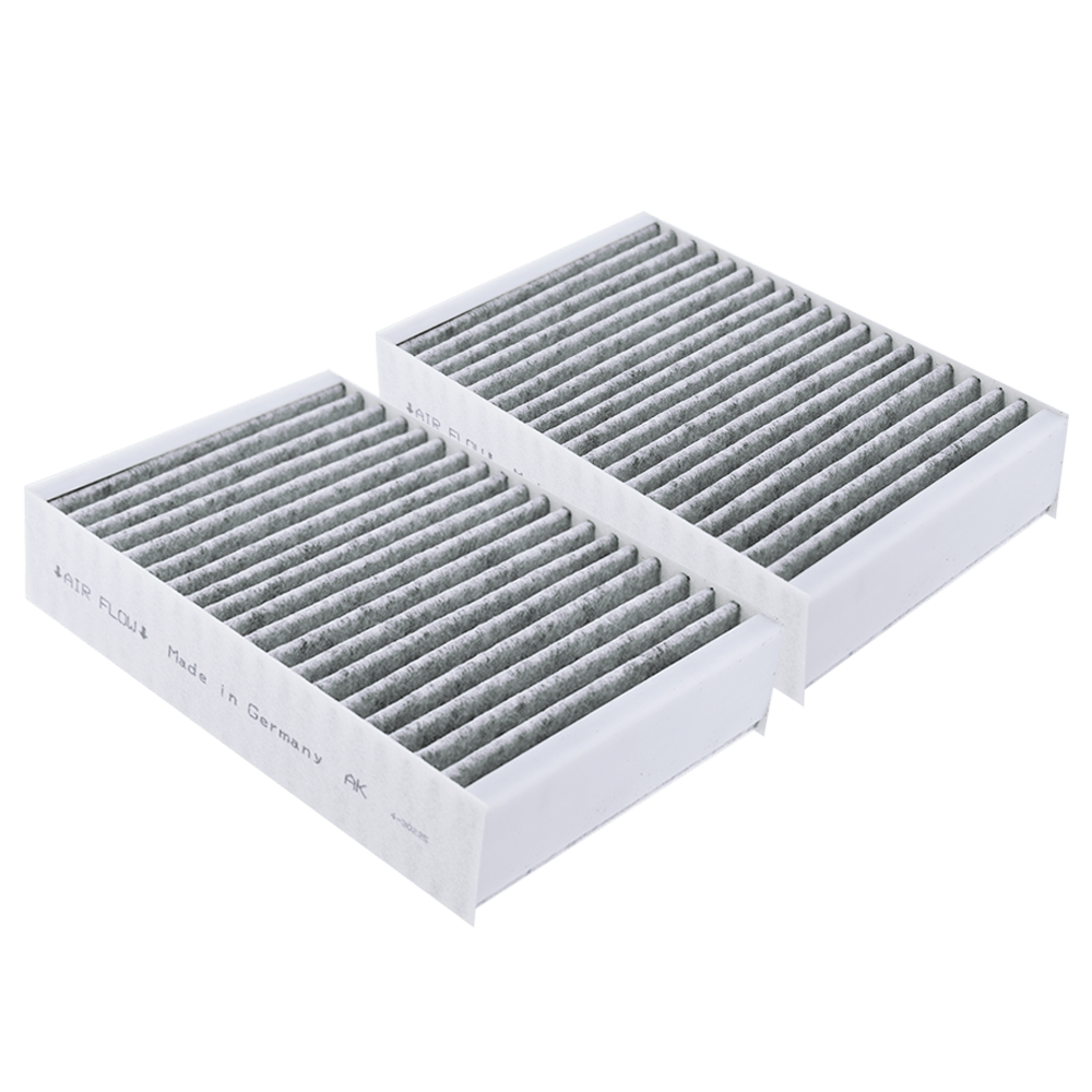 Aktivkohlefilter geeignet für Miele DKF 31-P (2St.)