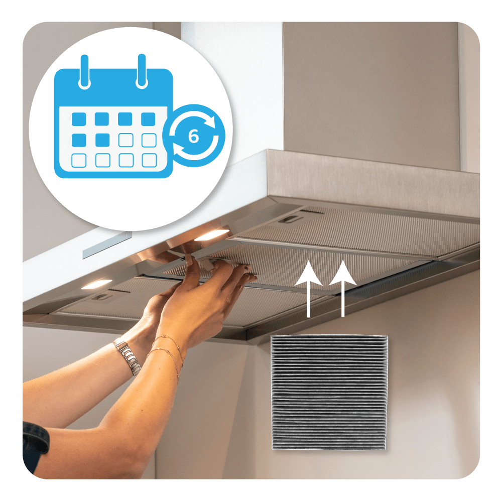 Aktivkohlefilter geeignet für Oranier P300