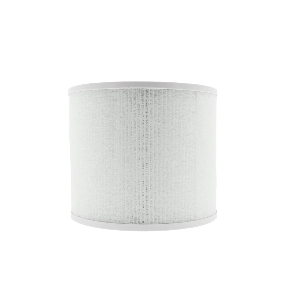 HEPA-Filter H13 geeignet für Levoit Core Mini / Mini-RF
