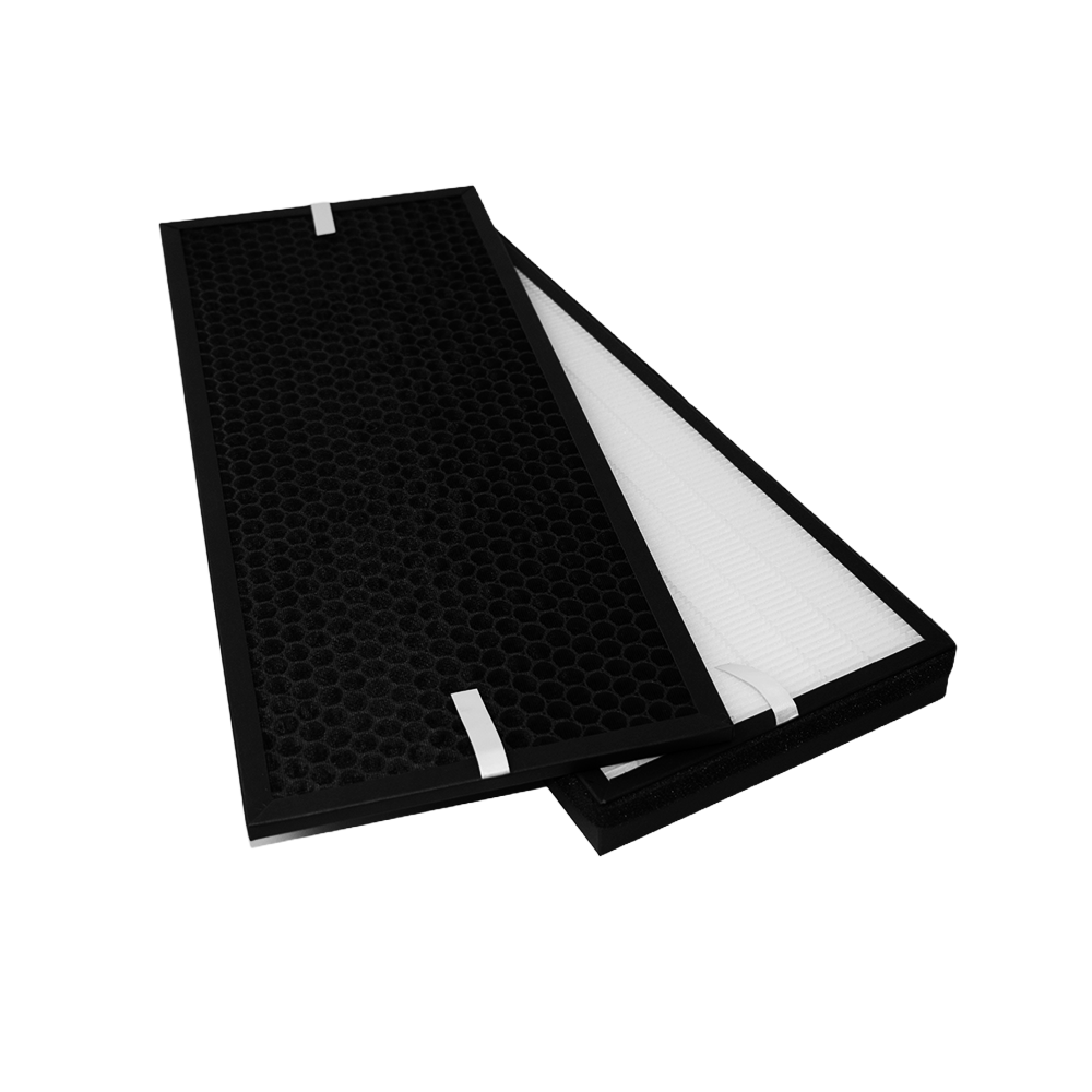 Filterset geeignet für Rowenta XD6077F0 / XD6077 / XD6066 (2 St.)