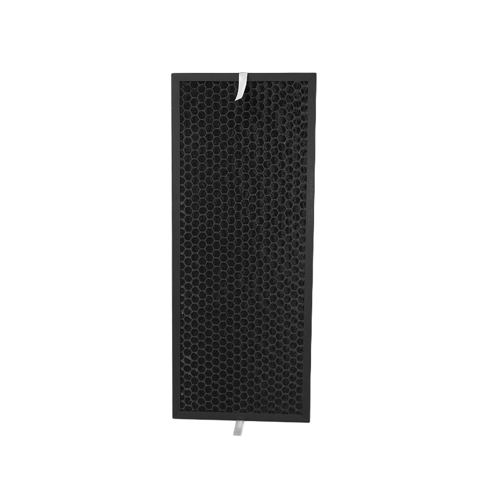 Filterset geeignet für Rowenta XD6077F0 / XD6077 / XD6066 (2 St.)