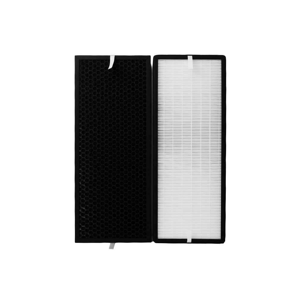 Filterset geeignet für Rowenta XD6077F0 / XD6077 / XD6066 (2 St.)