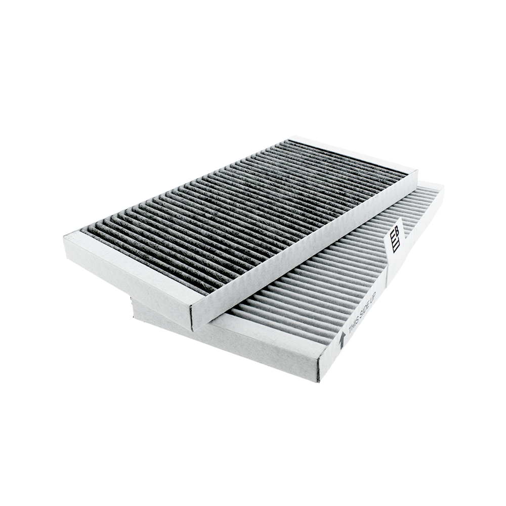 Gorenje Feinstaubfilter HF3015 (2 St.)