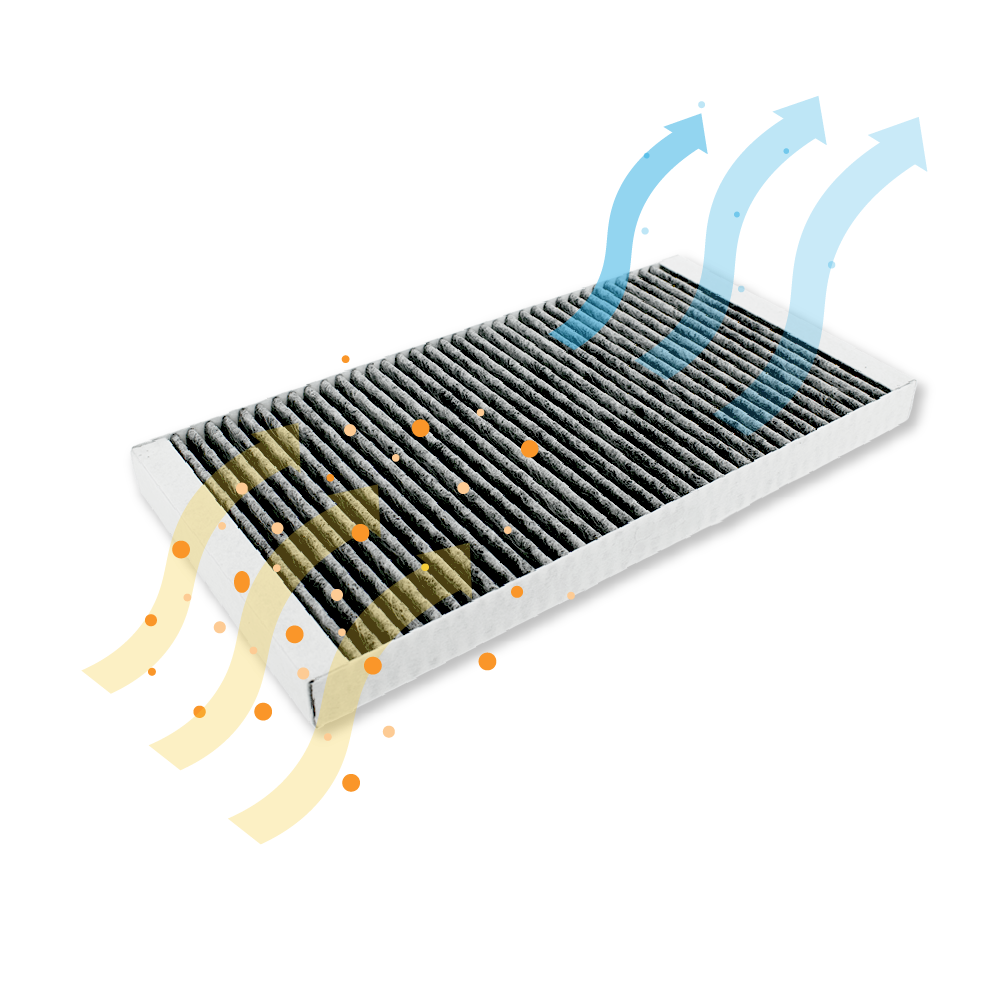 Hisense Feinstaubfilter HF3015 (2 St.)