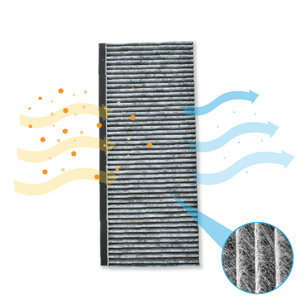 CleanAir Aktivkohlefilter geeignet für Constructa 17006837