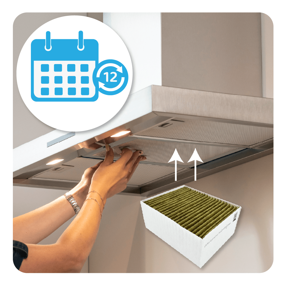 CleanAir Plus Aktivkohlefilter geeignet für Siemens / Bosch 11033934 / 11017314